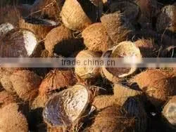 COCONUT SHELL FOR MAKE ACTIVATED CARBON thumbnail-1
