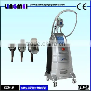 Fat Freezing Hot Sale 3 Heads Fat Freeze High Quality Cryolipolysis Coolshape Machine Body Slimming thumbnail-1