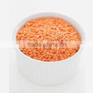 Masoor Dal (orange Lentils) thumbnail-1