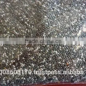 Organic Chia Seed thumbnail-2