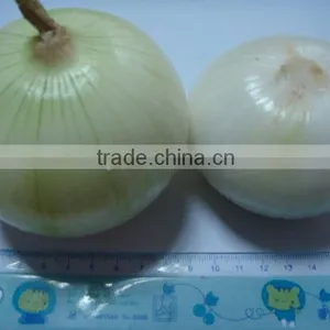 White Good Peeled Onion Producer in China thumbnail-6