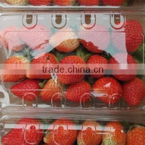 Egyptian Frozen Strawberry thumbnail-5