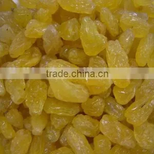 2015 Crop Golden Raisin With High Quality and Competitive Price. thumbnail-3