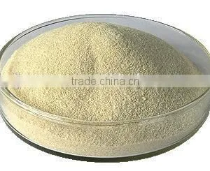Food Grade Sodium Alginate thumbnail-2
