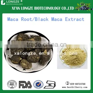 Male Healthcare Supplement Maca Extract Black Organic Maca Root Extract 5:1,10:1Powder thumbnail-1
