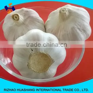 Good Quality Normal White Fresh Garlic Size5.5cm thumbnail-1