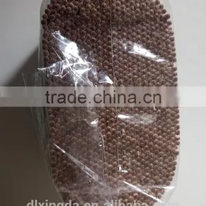 Disposable Double-point Toothpicks in Transparent Soft Tube thumbnail-3