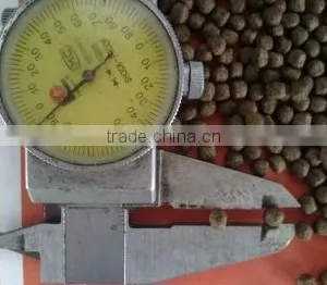 Floating Fish Feed Machine 1000kg/hour thumbnail-4