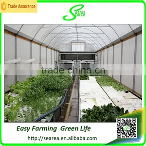 Single Span Greenhouse for Vegetable Fruits Agricultural Greenhouses thumbnail-4