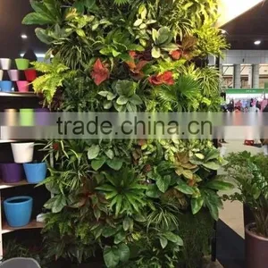 Green Wall Flower Pot thumbnail-4