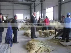 Anhui Zengshi Sanitary Tools Ltd. company overview - view 1 thumbnail