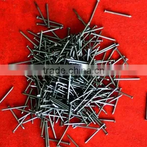 Iron Panel Pin Nails thumbnail-1