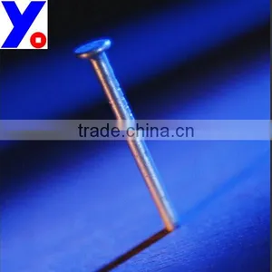 Polished Common Nail Factory Nail thumbnail-4