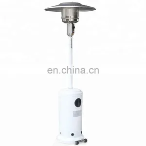 Stainless Steel Waterproof Decorative Gas Heaters thumbnail-5