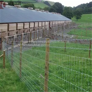 Hot-dipped Galvanized Field Fence, Cattle Field Fence Post, Galvanized Cattle Fence thumbnail-4