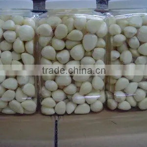 Jinxiang Peeled Garlic China Cheap Peeled Garlic for Sale New Crop Garlic thumbnail-1