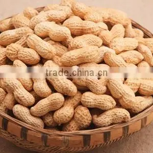 Peanut thumbnail-1