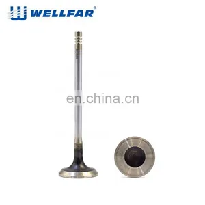 Wellfar OEM Manufacturer Engine Components For FIAT Idea 1.3 Intake and Exhaust Valve thumbnail-5