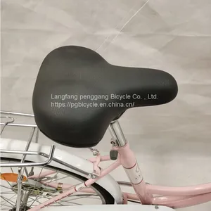 16*24 Inch Steel Lady Bike City Bike thumbnail-4