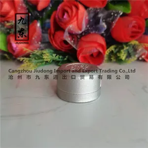 Female BSP NPT Quick Malleable Cast Stainless Steel Pipe Fitting SS304 SS316 Round Pipe Cap thumbnail-5