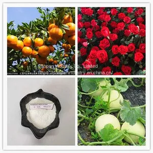6ba Plant Rooting Hormone 6bap 6benzylaminopurin 99%tc thumbnail-3