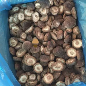 IQF Frozen Shiitake Mushroom Lentinus Edodes thumbnail-1