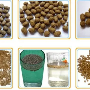 Fish Feed Processing Line thumbnail-1