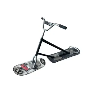 Grass Skiing Sandboarding Ice Cart thumbnail-1