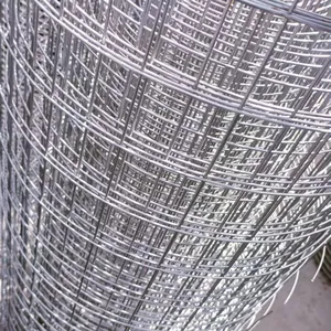 Welded Wire Mesh Rolls for Protecting Mesh - Plain Weave PVC Coated Steel thumbnail-3