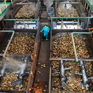 Genyond Sugar Beet Processing Line thumbnail-6