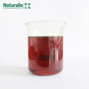 Chaga Mushroom Extract thumbnail-5