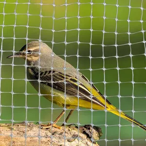 Plastic Bird Netting Factory Price thumbnail-2