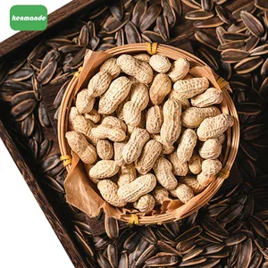 Wholesale Lot Uniform Inshell Count Whole Groundnuts 13/15 for Retail Packing thumbnail-3