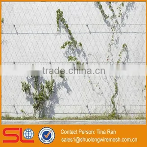 2mmx50mm Stainless Steel Rope Mesh Green Wall thumbnail-4