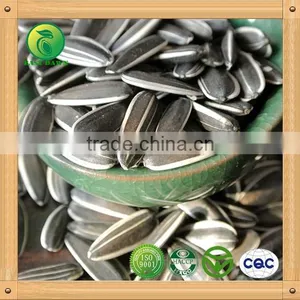 Chinese Sunflower Seeds 2015 New Crop thumbnail-1