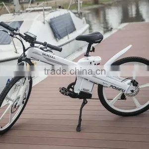 Hot Sale EN 15194 Electric Bicycle With Motor Front Mag Wheel thumbnail-2