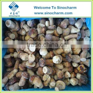 Whole Frozen Boletus Edulis thumbnail-1