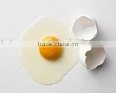 High Quality Hen Egg White Powder thumbnail-1