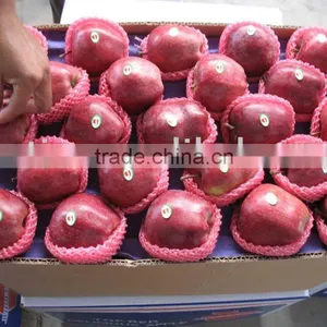 Fresh Huaniu Apples thumbnail-1