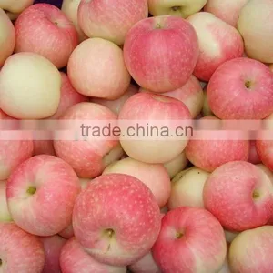 Fresh Gala Apple Sweet Juicy Gala Apple With Best Price Brand Yitian thumbnail-1