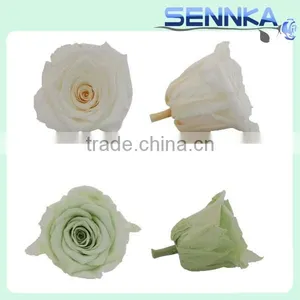 High Quality Big Preserved Flowers Wholesale Natural Preserved Flower thumbnail-1