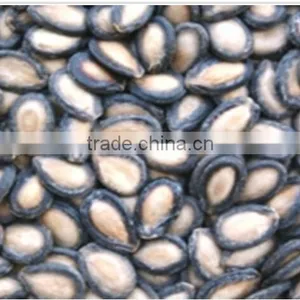 Xinjiang Black Watermelon Seeds for Importers thumbnail-3