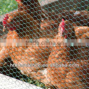 Poultry Netting thumbnail-1