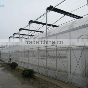 Baolida Multi-span Greenhouse PE Film Green House Used Greenhouse for Tomato thumbnail-6