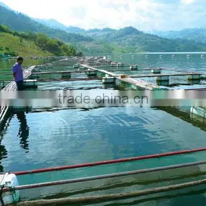 Yeast Extract Powder 42% for Fish Shrimp and Crab Feed thumbnail-3
