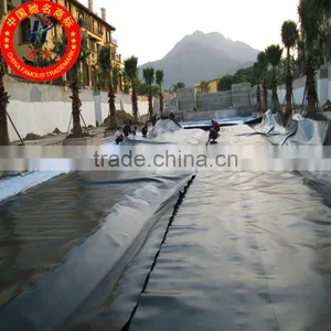 HDPE Geomembrane Suitable Water Conservancy Projects Price thumbnail-1
