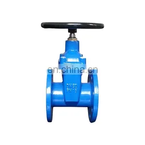 DIN3352 Ductile Cast Iron di Dn80 Pn16 Resilient Seat Hand Wheel Double Flanged Gate Valve thumbnail-1