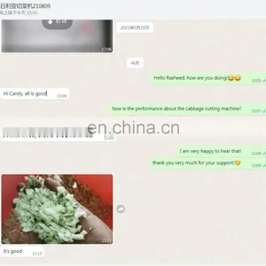 Industrial Vegetable Cutting Machine Fruit And Vegetable Cutting Machine Vegetable Cutter Price thumbnail-5