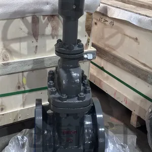 High Pressure Flange Flat Gate Valve Z43Y Cang Hai Valve thumbnail-3