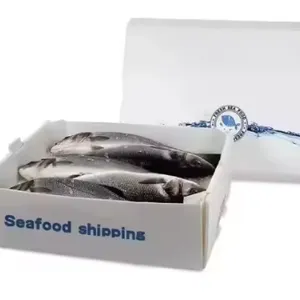 Insulated PP Hollow Sheet Packaging – Durable Solutions for Fresh Seafood thumbnail-1